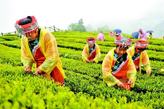 茶叶产业加速洗牌花样百出 消费者何去开云