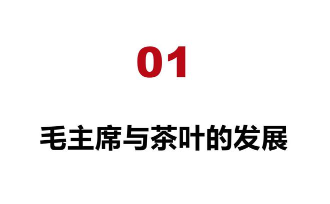 开云 开云体育毛主席不但将茶叶收入养生“