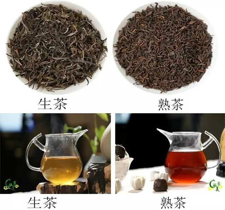 开云 开云体育普洱茶鲜为人知的内幕！普洱茶种类繁多、山头众多到底哪里产的最正宗？哪些更值得选购及收藏？(图6)