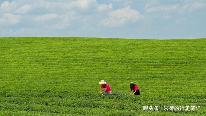 云贵高开云体育 开云平台原上一颗明珠被誉为“云贵小江南”号称贵州茶业第一县(图3)