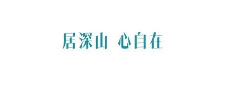 开云 开云体育地标馆 别看西湖龙井了 茶叶地标TOP3浙江真的很能喝(图7)