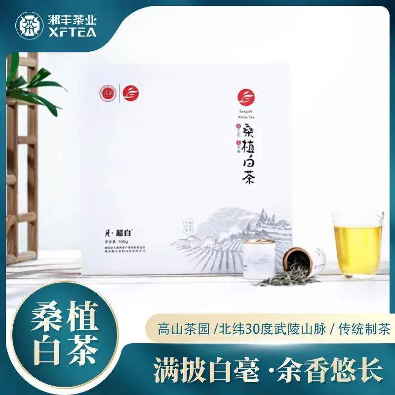 开云体育 开云平台丰味湖南 “湘”当棒！湘丰茶业集团农博会斩获金奖(图4)