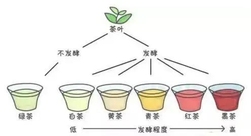 茶叶的最佳品饮时间喝开云体育 开云平台出好滋味(图11)