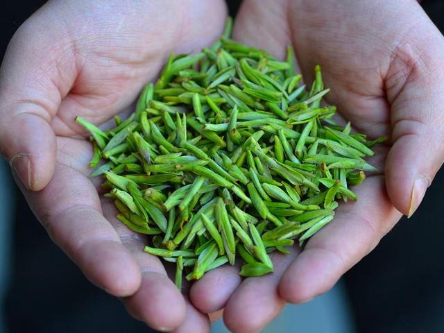 同是徽茶黄开云 开云体育平台山毛峰、太平猴魁、祁门红茶、六安瓜片哪个才好喝(图2)