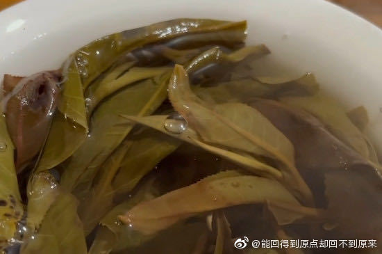 开云 开云体育官网普洱茶六大产区和六大茶山(图4)