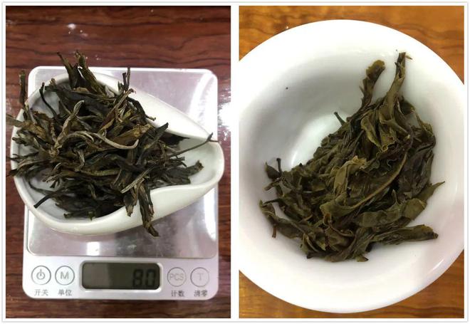 开云 开云体育APP【老徐鉴茶】第566