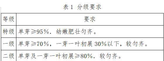 开云 开云体育APP广安松针茶叶网络流通