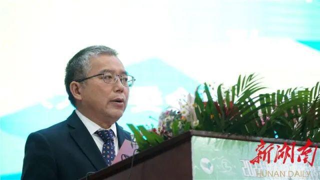 2022年湖开云 开云体育平台南茶业科技创新论坛在古丈举行(图2)