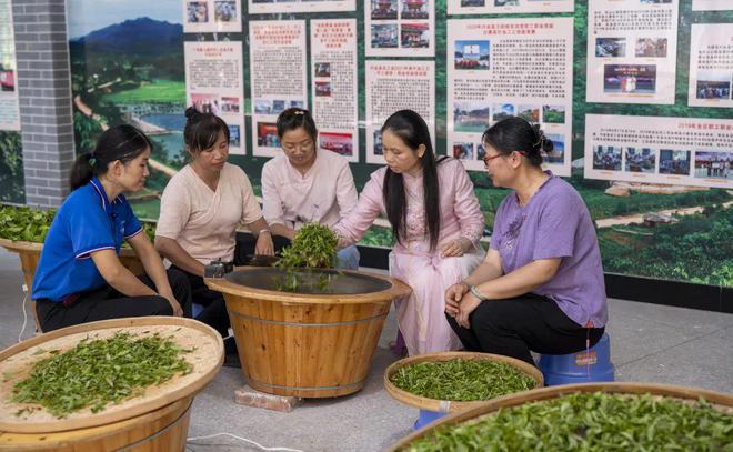 开云 开云体育官网一城茶色醉兴业