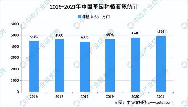 开云体育 开云官网2022年中国茶产业市场前景及研究预测报告(图5)