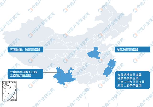 开云体育 开云官网2022年中国茶产业市场前景及研究预测报告(图11)