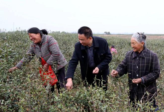 开云 开云体育潢川连续五年荣登“中国茶业