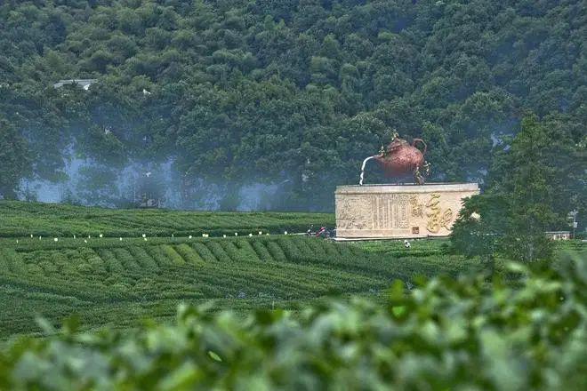 到长三角吃茶去！一体化“春风”助中国茶飘香世界开云体育 开云平台(图2)