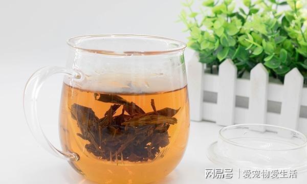 茶叶也有保质期过了保质期的茶叶能喝吗开云 开云体育官网？(图3)