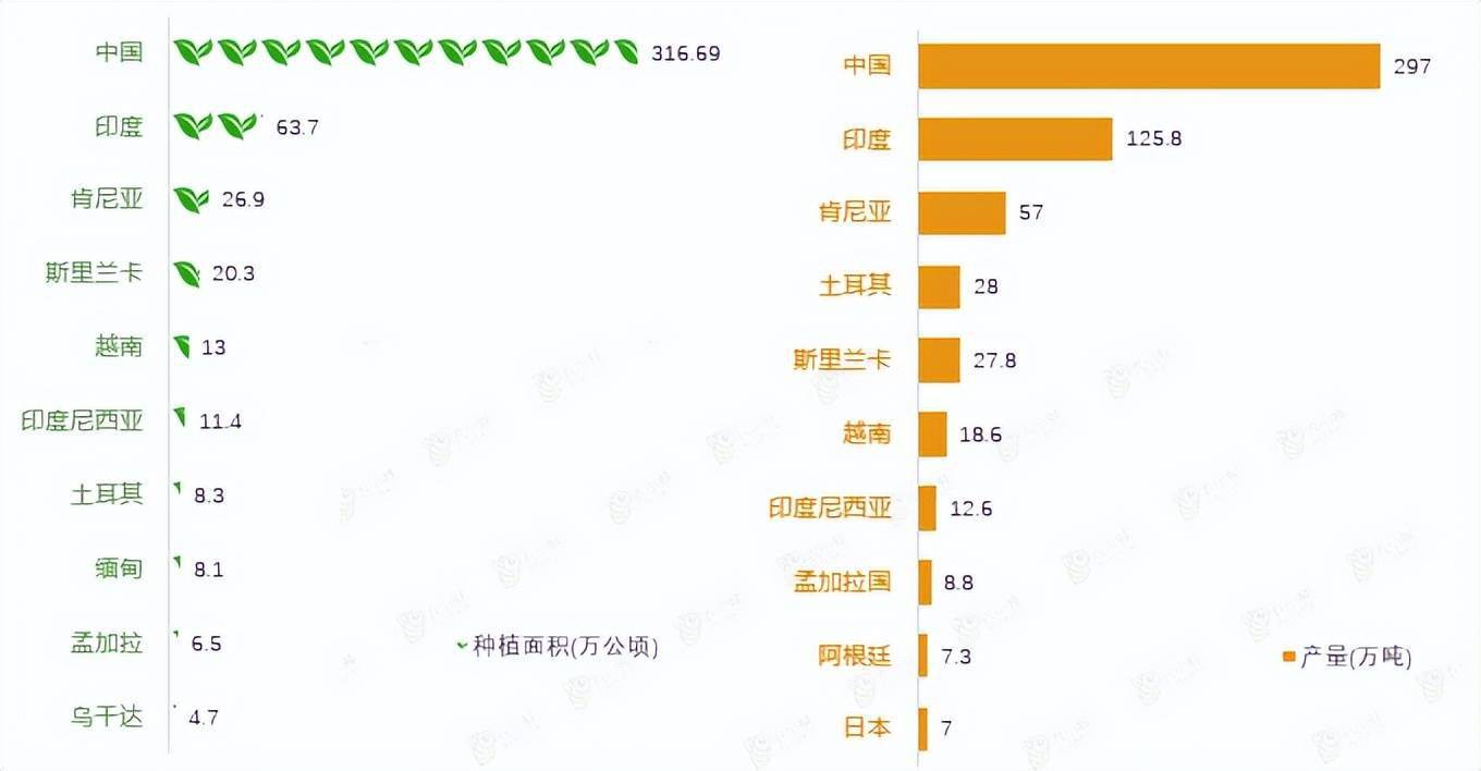 2022年中国茶产业分析简报开云 开云体育平台(图6)