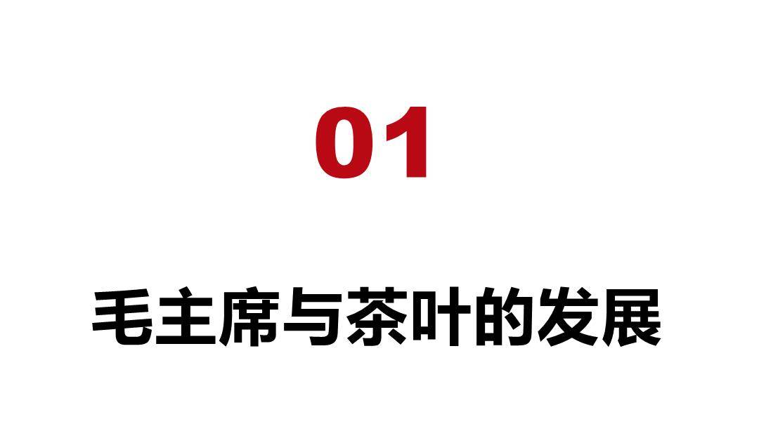 开云 开云体育不但将茶叶收入养生“四味药