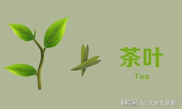 过期的茶叶不能喝了？很多人都想错了有3种