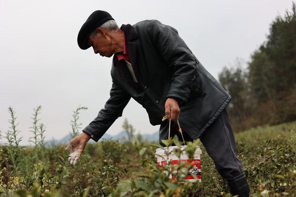 开云体育 开云官网贵州七星关：抢抓农时冬