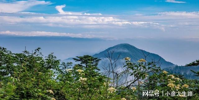 开云体育 开云平台四川一5A景区门票售2