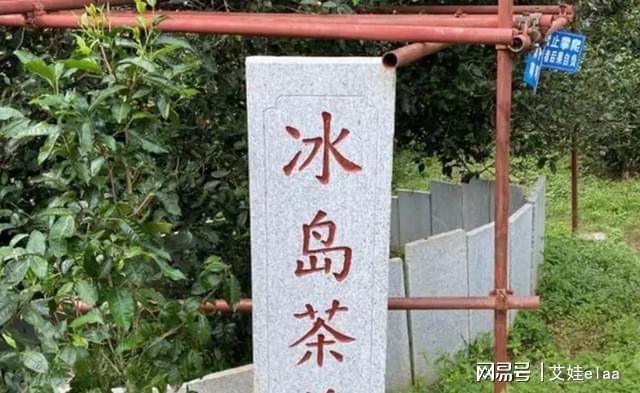 开云 开云体育官网号称“云南第一村”！村民靠种这个生活如今家家年收入近百万(图5)