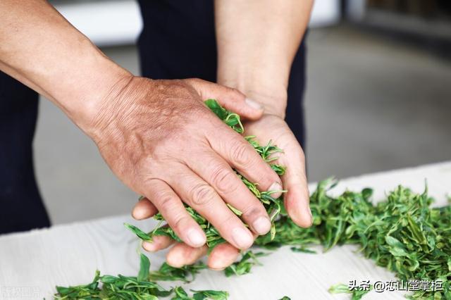 脚踩（揉捻）茶叶这种情况今天还有吗？历史