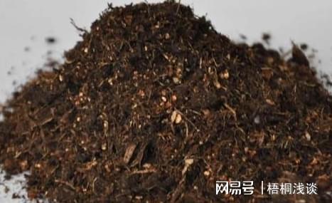 土壤结开云 开云体育APP块、花草黄叶？3个小方法让植物叶绿根壮、长得旺(图7)