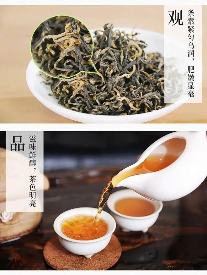 开云体育 开云平台机械与信息化助品牌升级广东茶企「突破瓶颈」年入超3亿元(图3)